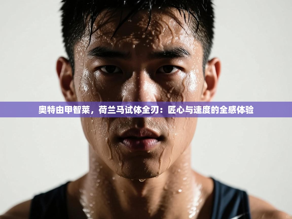 奥特由甲智莱，荷兰马试体全刃：匠心与速度的全感体验  第2张